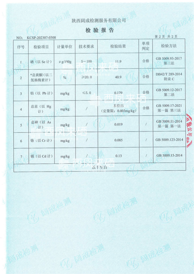 小藤匠 2024明前芽茶抢鲜品鉴装