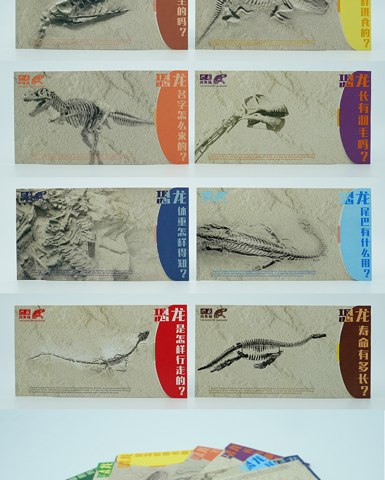 自邮生活 恐龙化石明信片（10枚/套）【自邮文创】