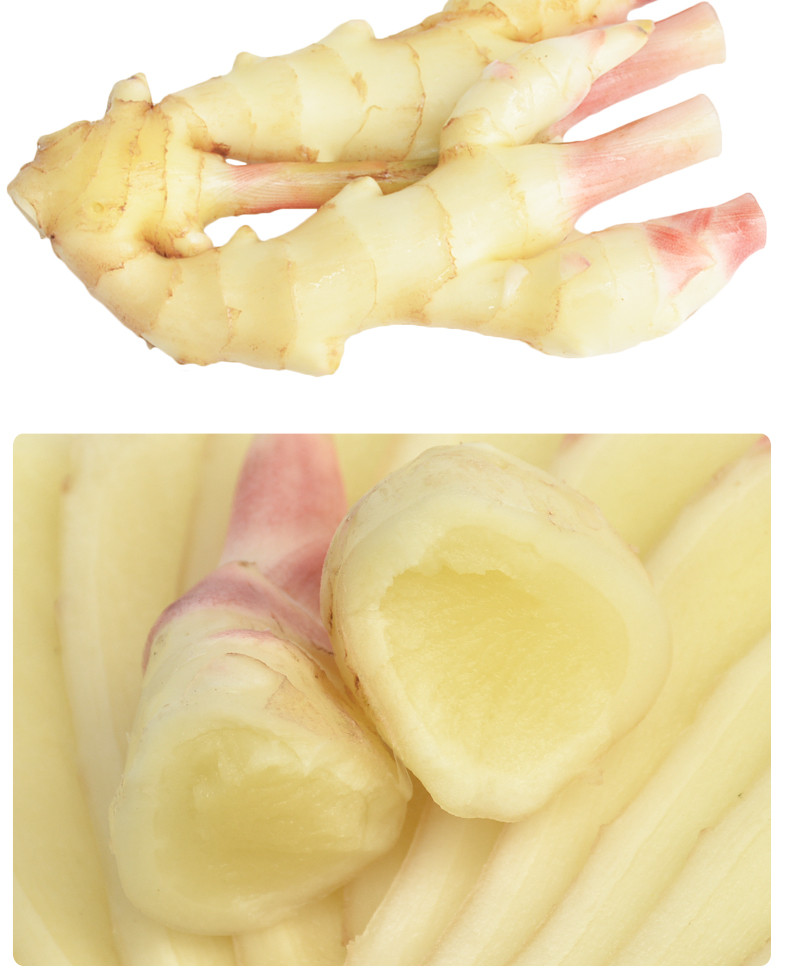 自邮生活 四川自贡五宝新鲜带泥嫩姜仔姜5斤