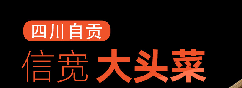 信宽 【会员享实惠】四川自贡特色麻辣手撕大头菜/风干大头菜