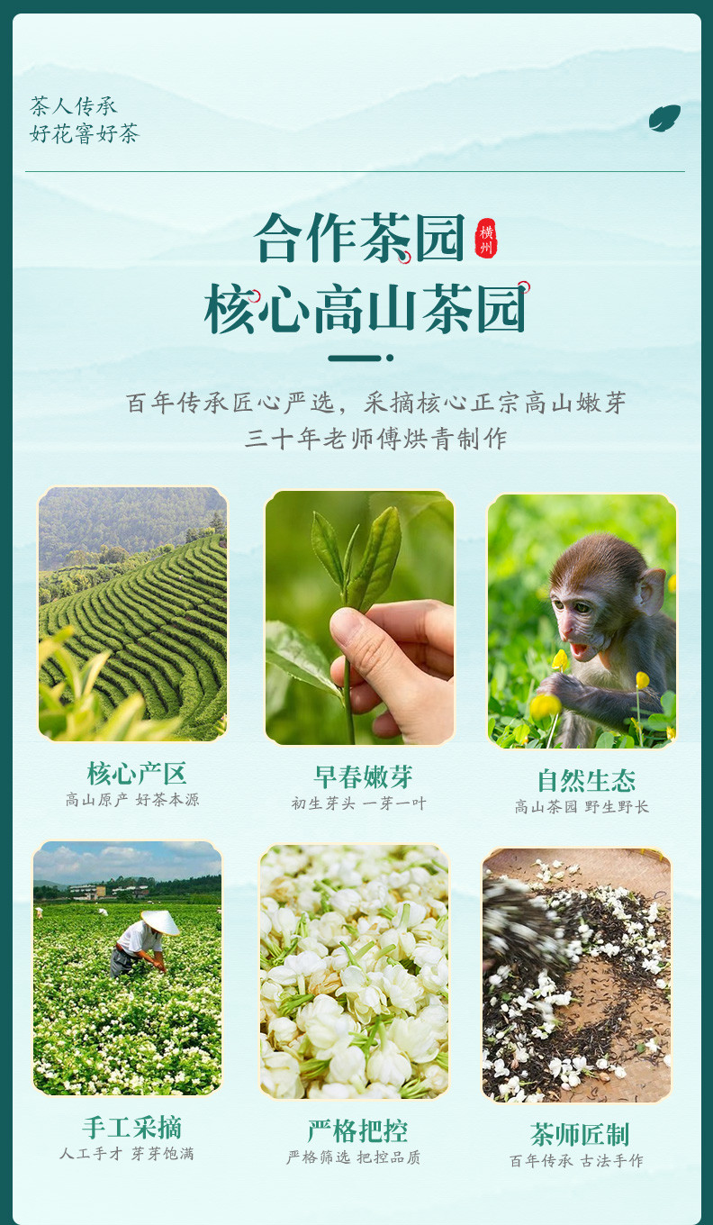 邮政农品 玉芽茉莉花茶