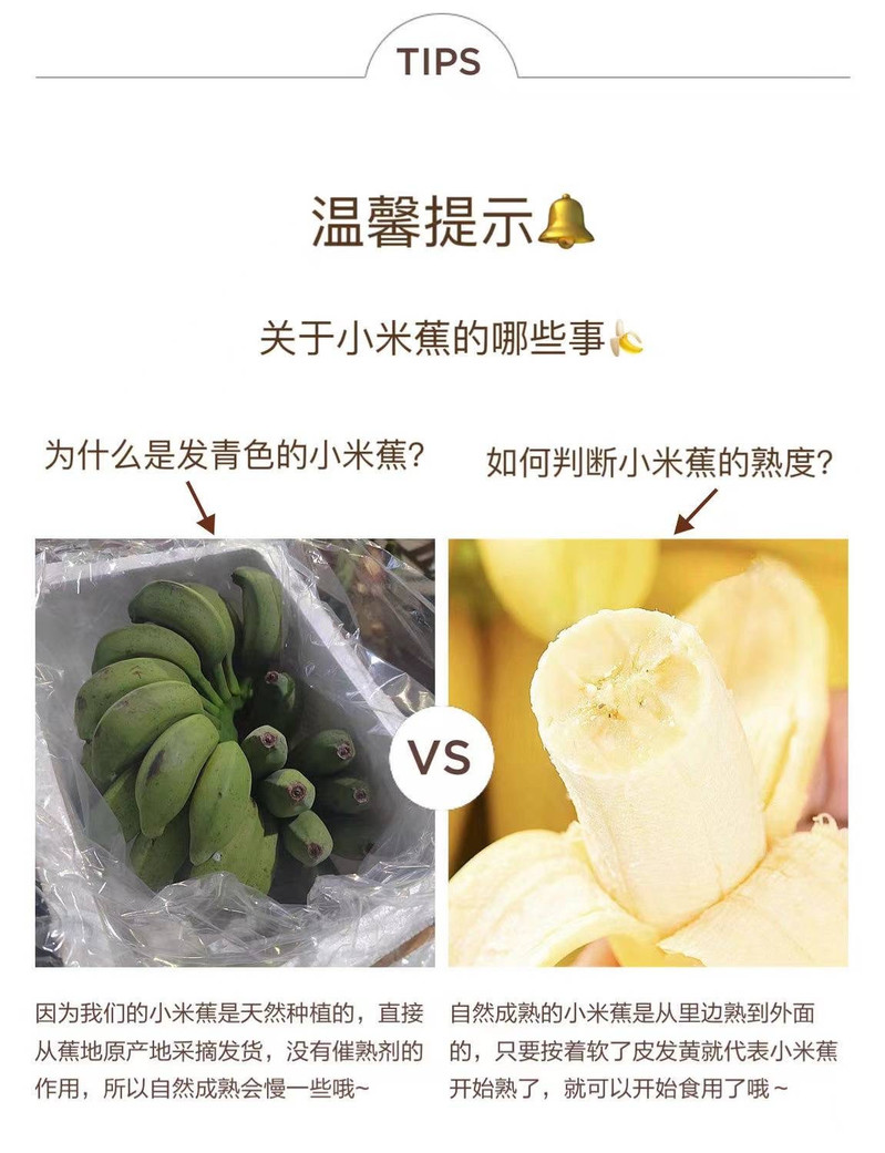 邮鲜生 【郊区馆】广西双定农家小米蕉皮薄肉厚新鲜现摘（需要催熟）