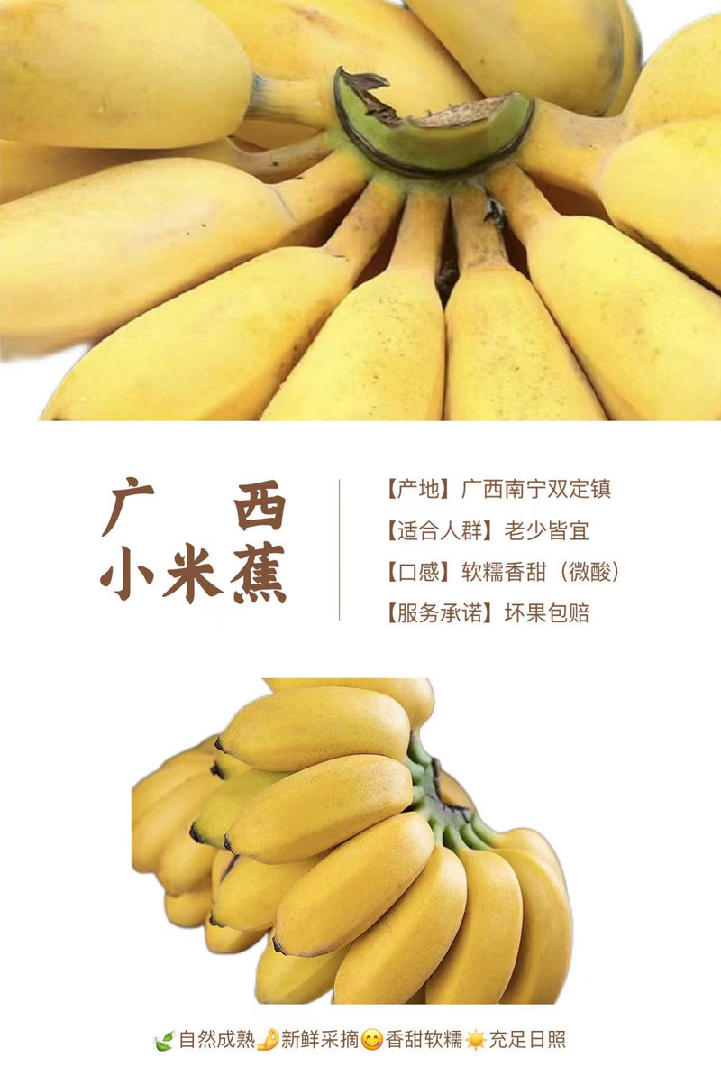 邮鲜生 【郊区馆】广西双定农家小米蕉皮薄肉厚新鲜现摘（需要催熟）