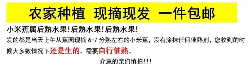 邮鲜生 【郊区馆】广西双定农家小米蕉皮薄肉厚新鲜现摘（需要催熟）