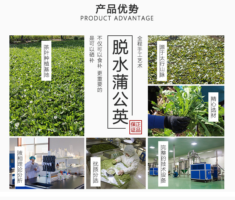 【上党馆】蒲公英茶 天然花草茶75g罐装茶 包邮