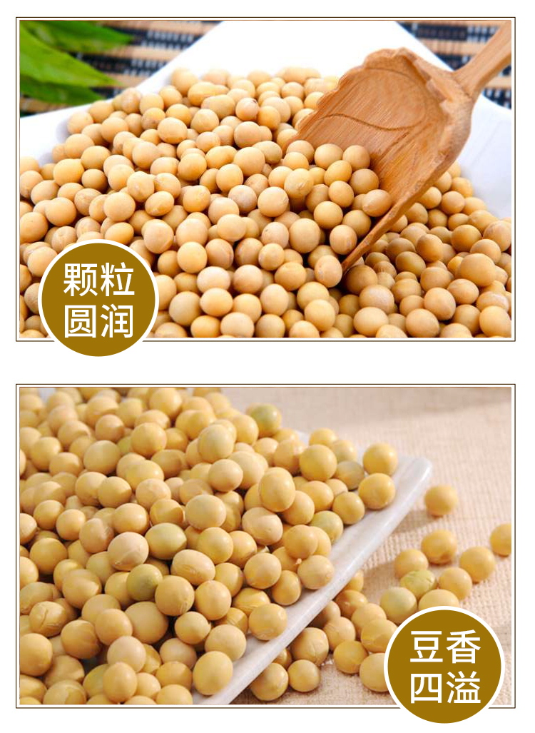 【山西·长治】平顺特产 农家自产新黄豆500g 五谷杂粮