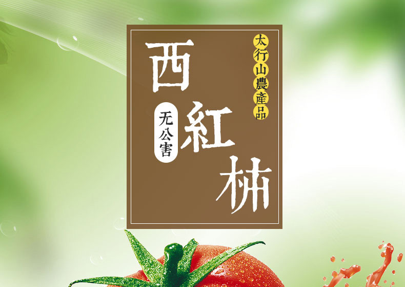 【壶关县扶贫地方馆】农家现摘新鲜西红柿5斤装 自然成熟番茄沙瓤番茄 包邮（偏远地区除外）