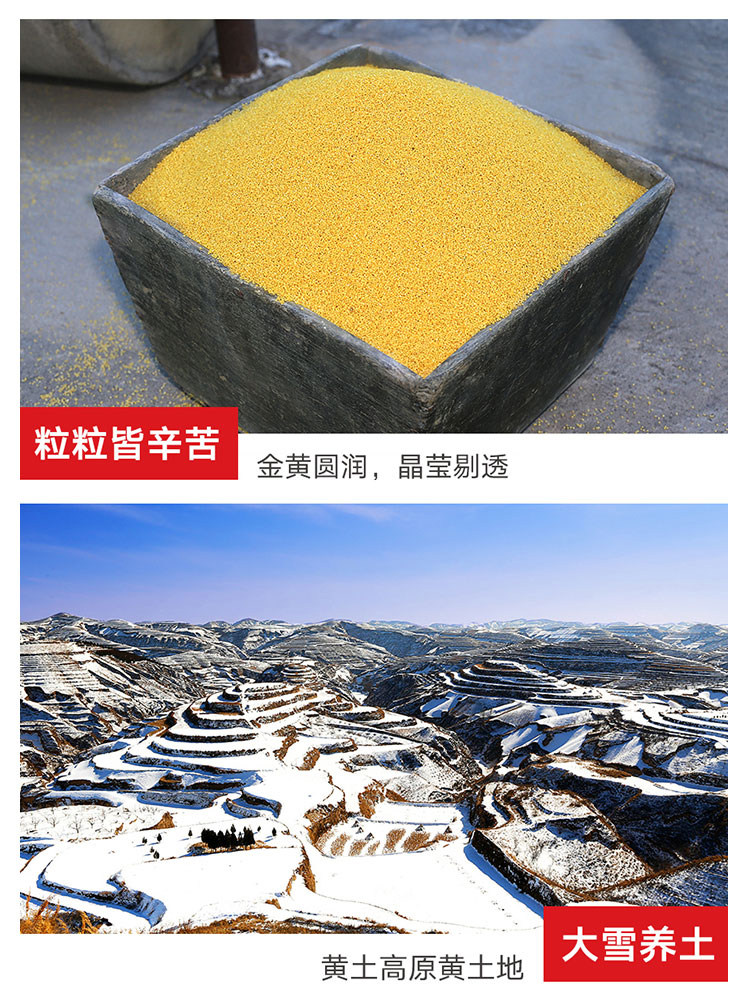 【壶关县扶贫地方馆】 庄稼园黄小米50g*64袋礼盒装 小黄米新米月子米 包邮（偏远地区除外）