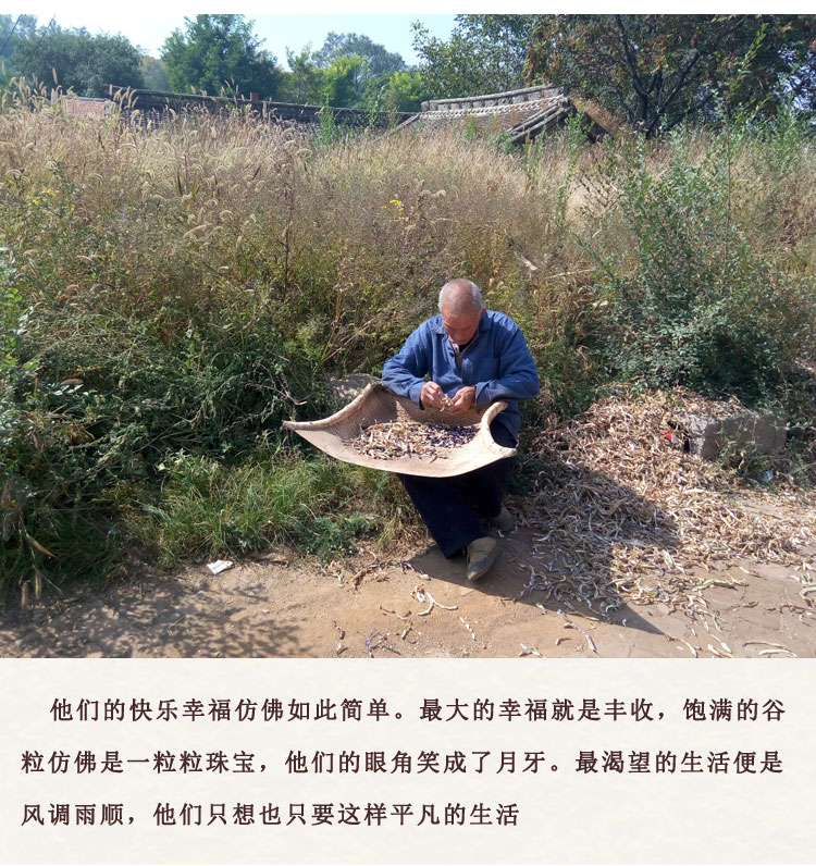 【壶关县扶贫地方馆】御香阁 农家自种红小豆杂粮小红豆500g 五谷粗粮 包邮（偏远地区除外）