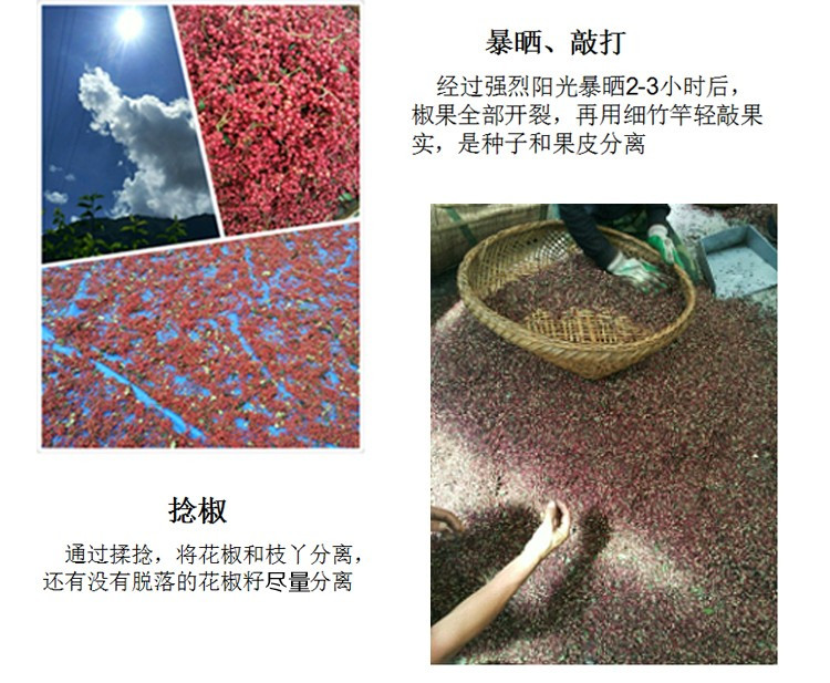  平顺大红袍花椒100g罐装【晋乡情·长治】山西特产 农家自产