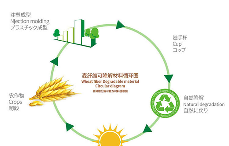 肖邦/CHOBOND 五谷健康杯CB-Z51