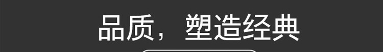 斯巴瑞 SR-601铝镁合金拉杆箱20寸