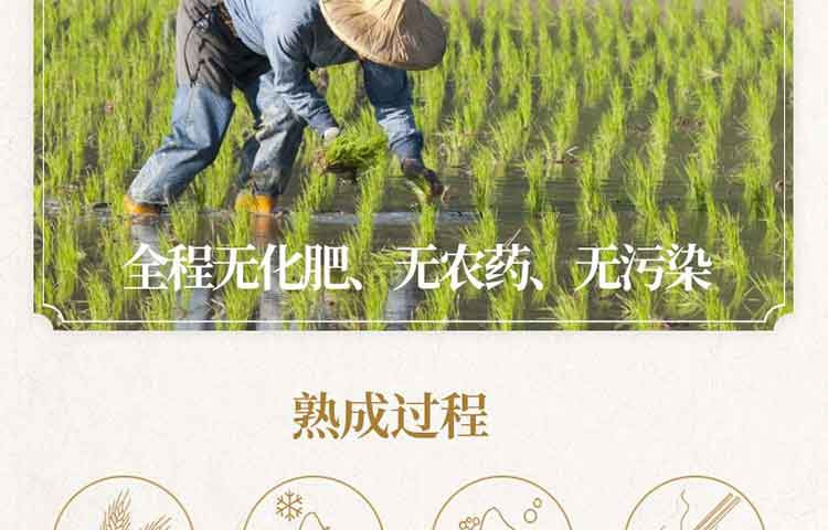 通江河 生态米粥米4公斤（礼盒）