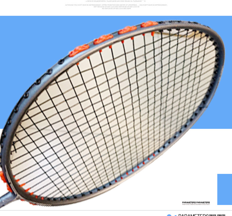 威林顿 羽毛球拍全连体碳素减震拍（桶球/6只装）L-308