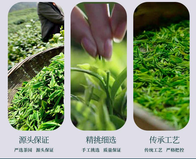 【仙桃春茶】恩施玉露绿茶 礼盒装75g*2罐 共150g