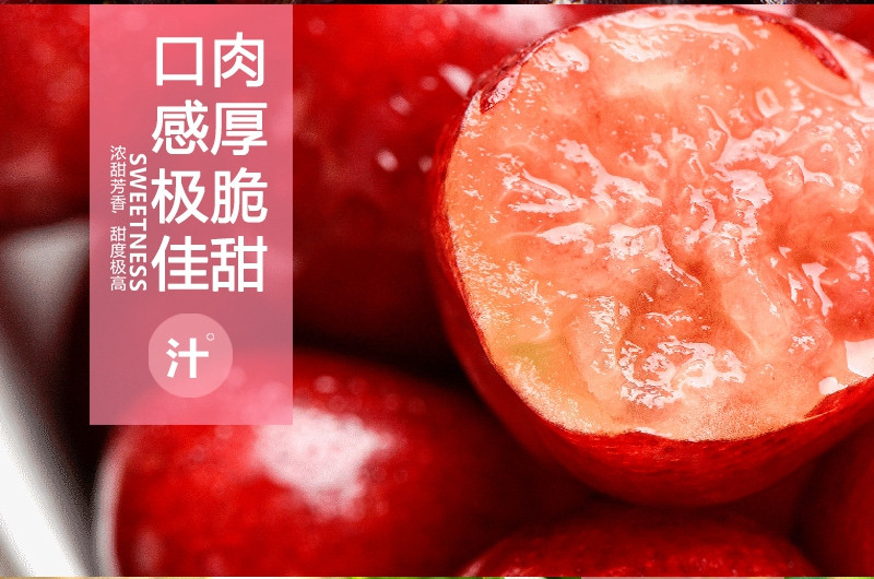 【阿坝州地方馆】汶川 套袋甜樱桃（车厘子）天然原生态（限四川，重庆县级以上城市购买） 包邮