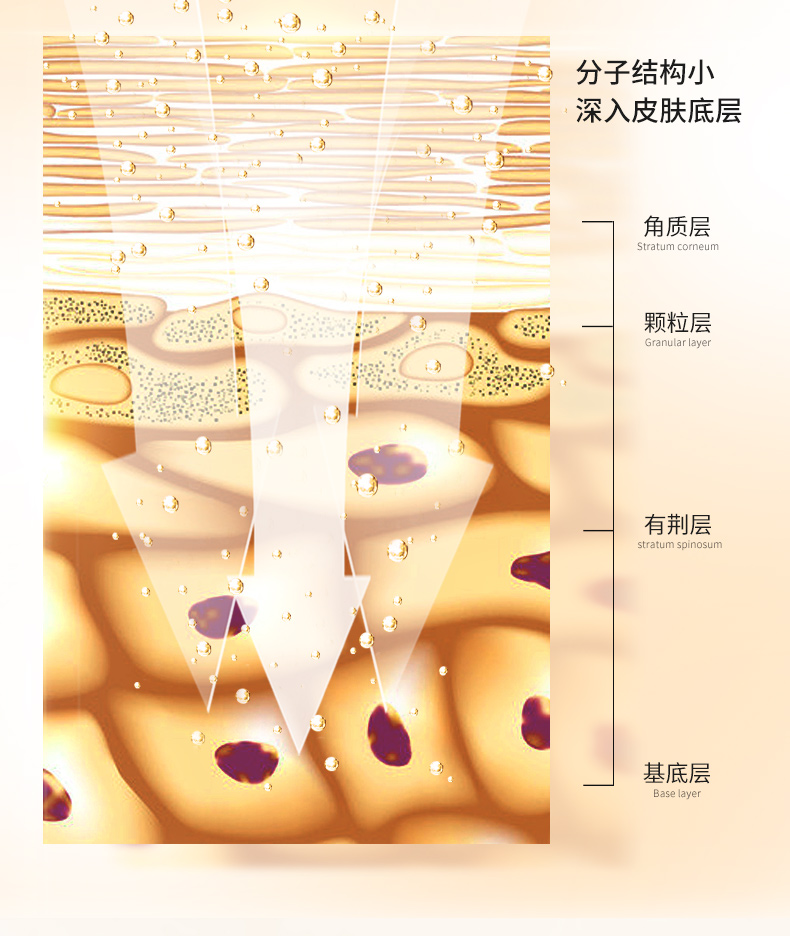 梵西 六胜肽青春定格液 30ml（金装版）