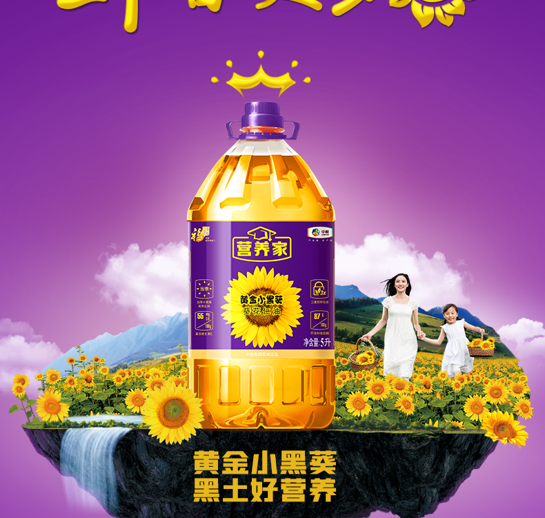 福临门 【深圳馆】营养家黄金小黑葵葵花仁油 5L