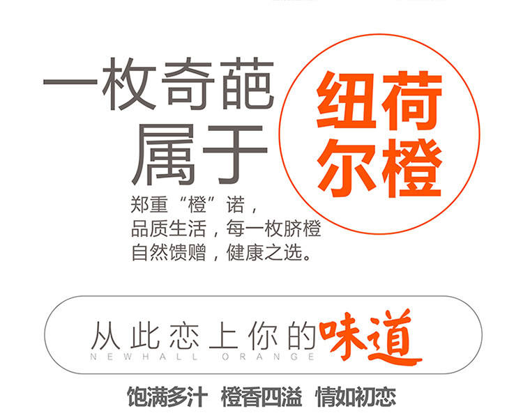 仕外田源 标准果 秭归脐橙纽荷尔橙子新鲜水果现摘现发手剥橙子5斤