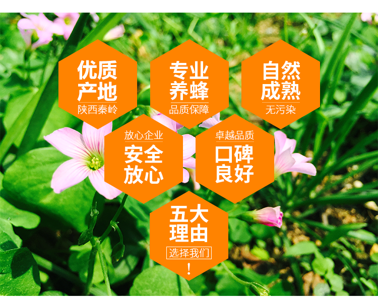 【厂家直供】众天蜂蜜 洋槐/枣花/山花蜂蜜500g*3瓶 家庭组合实惠装