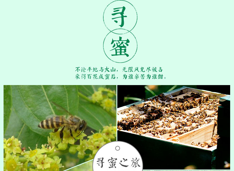 众天蜂味成熟枣花蜂蜜400g
