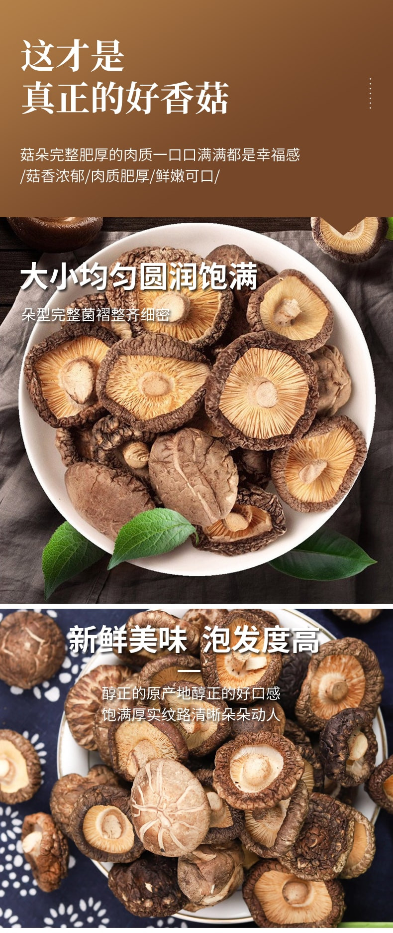 罗婵阳光 陕西洛南厚肉香菇200g/盒