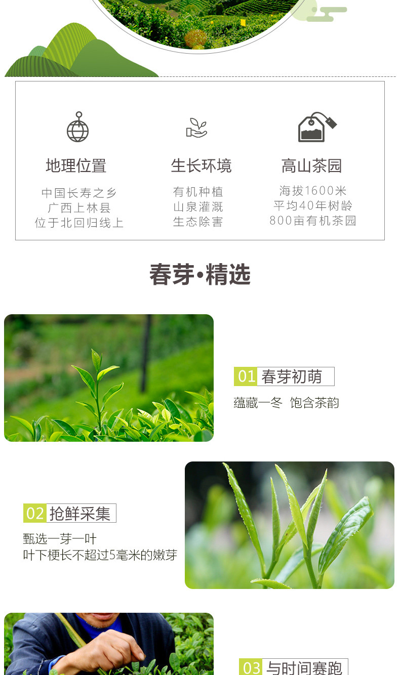 【中国农垦】大明山 广西 原产地 双认证 有机绿茶 125g