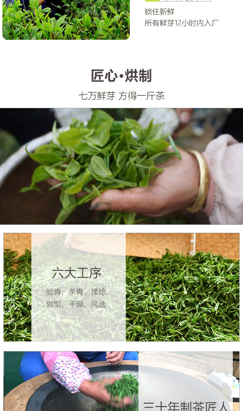 【中国农垦】大明山 广西 原产地 双认证 有机绿茶 125g