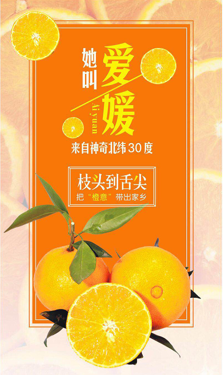 四川眉山爱媛脐橙现摘新鲜水果5斤 （单果65mm起）