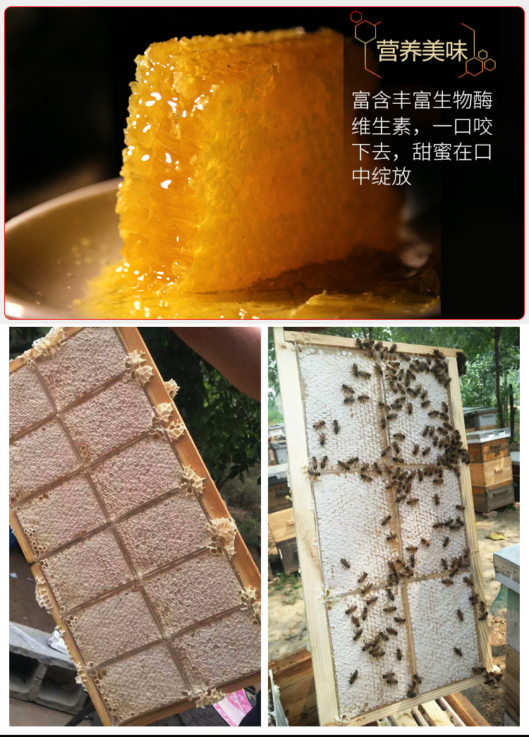 【宜昌市乡村振兴馆】农夫乡情 神农架新鲜农家蜂巢蜜嚼着吃500g