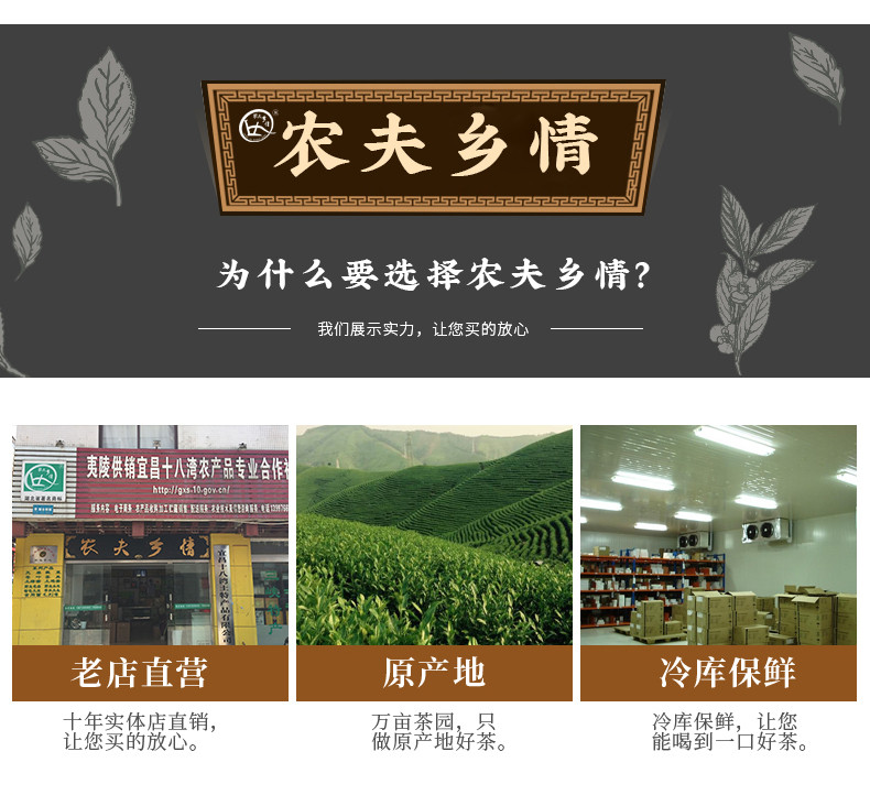 农夫乡情 【春茶节】2024年新茶叶嫩芽春茶高山明前手工毛尖绿茶