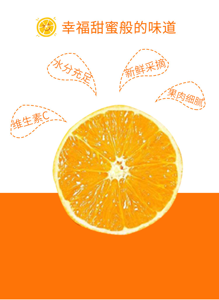 农夫乡情 【爆款产品】湖北特产秭归春橙伦晚脐橙当季鲜橙手剥甜橙
