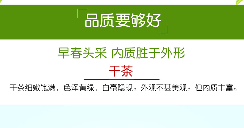 【春茶节】农夫乡情2023年新茶纯手工制作毛尖王茶叶50g