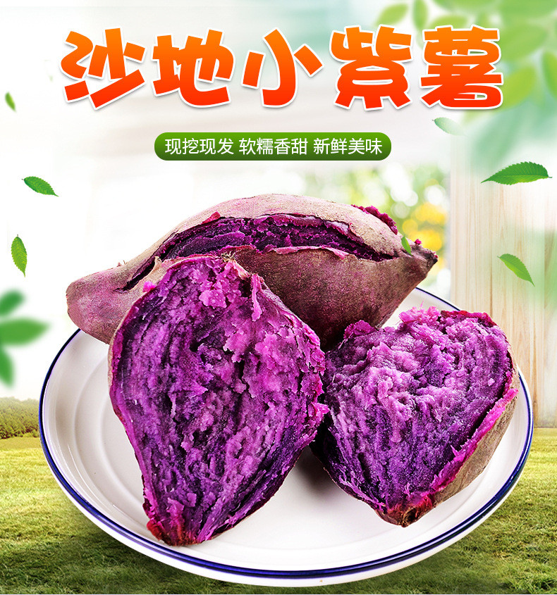【宜昌市乡村振兴馆】新鲜现挖农家自种沙地紫薯5斤