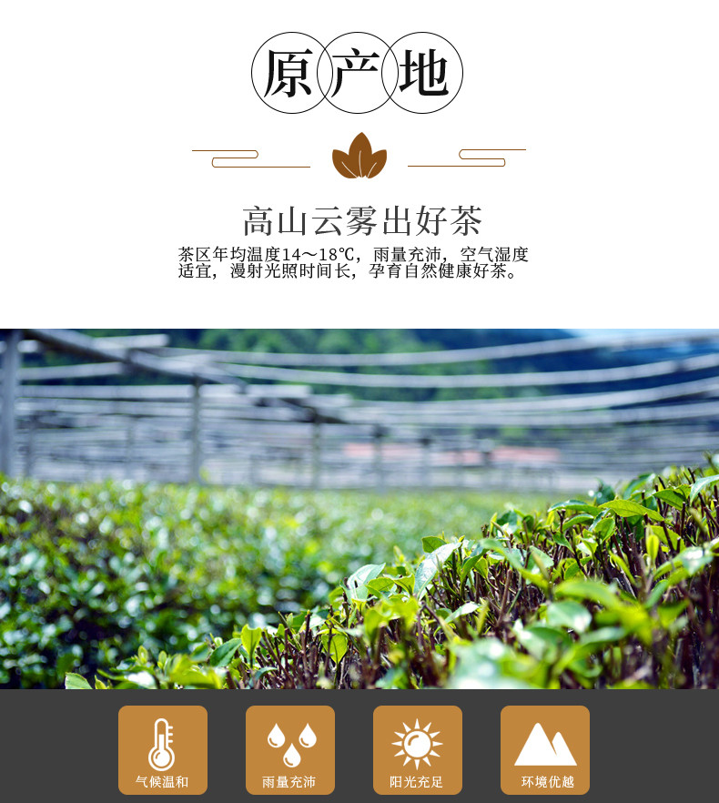 农夫乡情 【春茶节】2024年雀舌绿茶叶毛尖嫩芽春茶150g