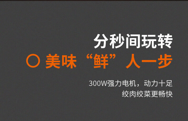 九阳/Joyoung 绞肉机家用电动多功能料理机搅拌婴儿辅食机切菜绞馅