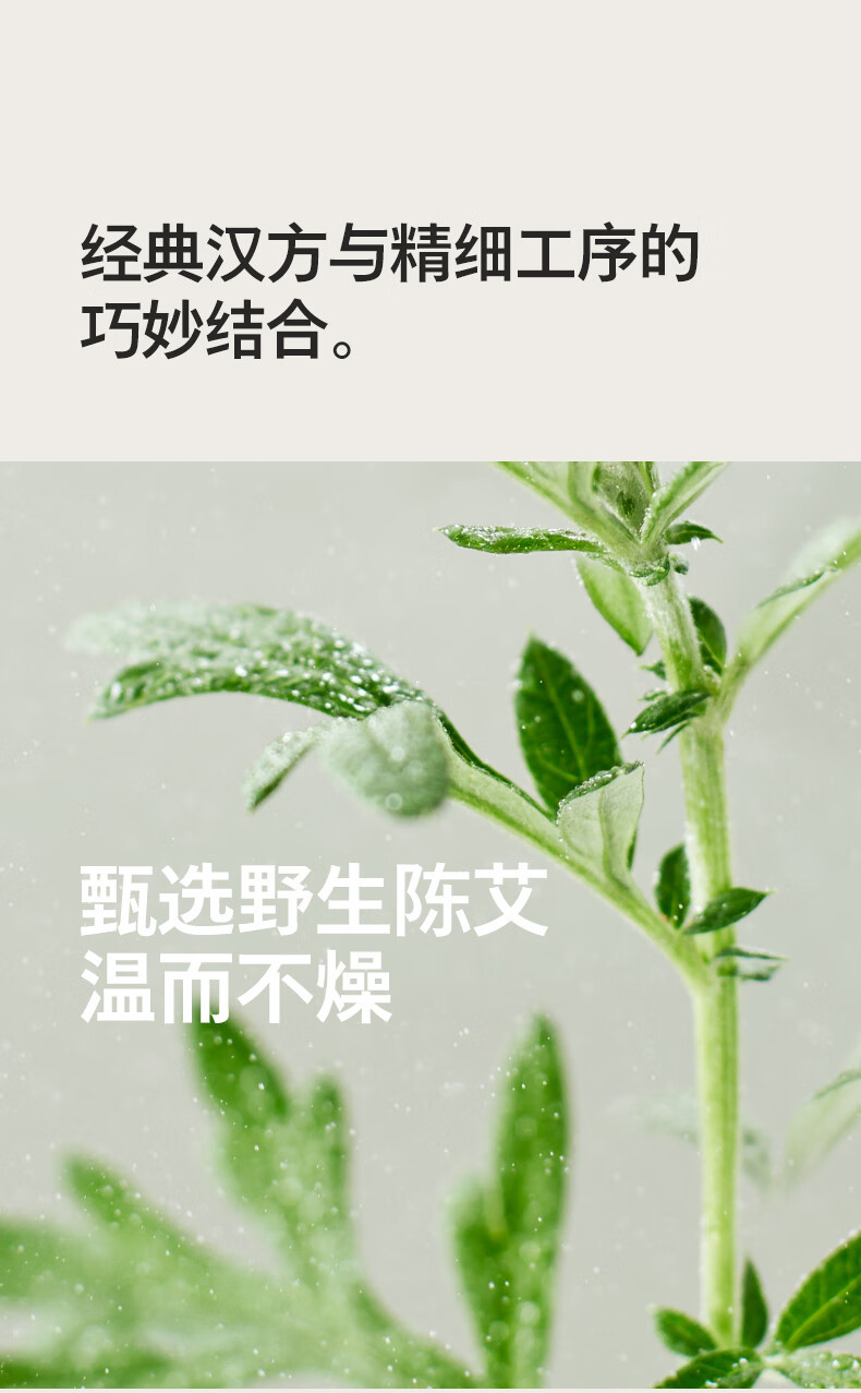 飞利浦/PHILIPS 艾草热敷仪 家用便捷智能养生艾草盒 肩颈腰腹关节疗养热敷仪