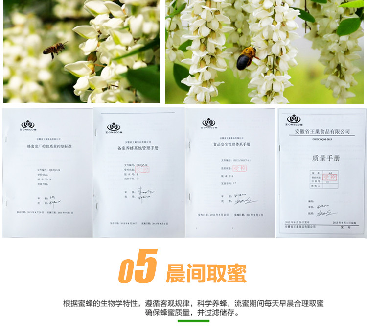 王巢 野生洋槐蜂蜜 土蜂蜜百花蜜原生态刺槐蜜 包邮950g