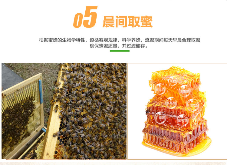 王巢野生枸杞蜂蜜  农家自产 原生态土蜂蜜 包邮950g