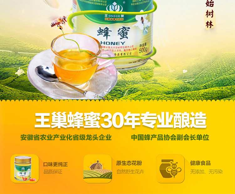 王巢 野生百花蜂蜜 农家自产土蜂蜜 500g×2瓶