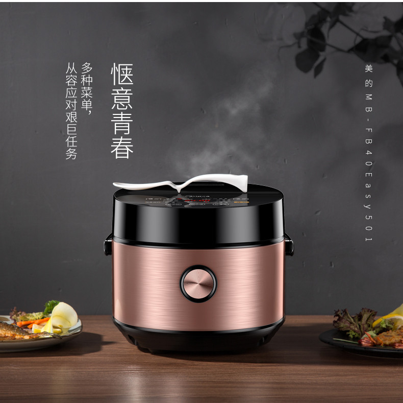 美的(Midea) MB-FB40Easy501电饭煲 4L匠铜圆灶釜 底盘加热 预约功能