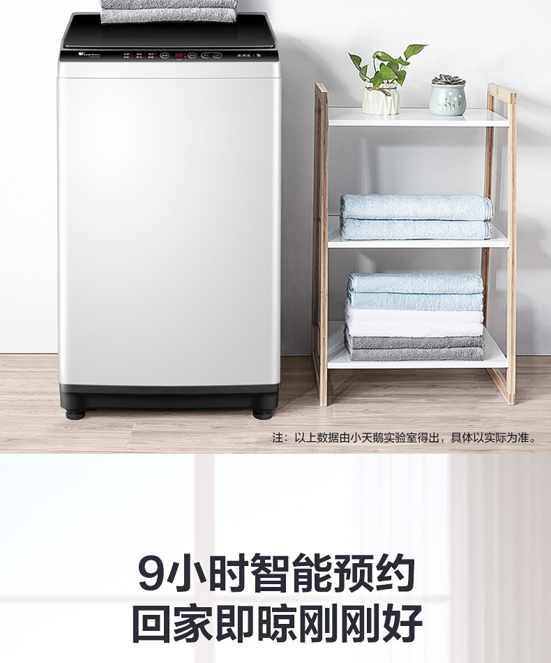 小天鹅 TB100V23H 波轮洗衣机 10KG大容量 免清洗