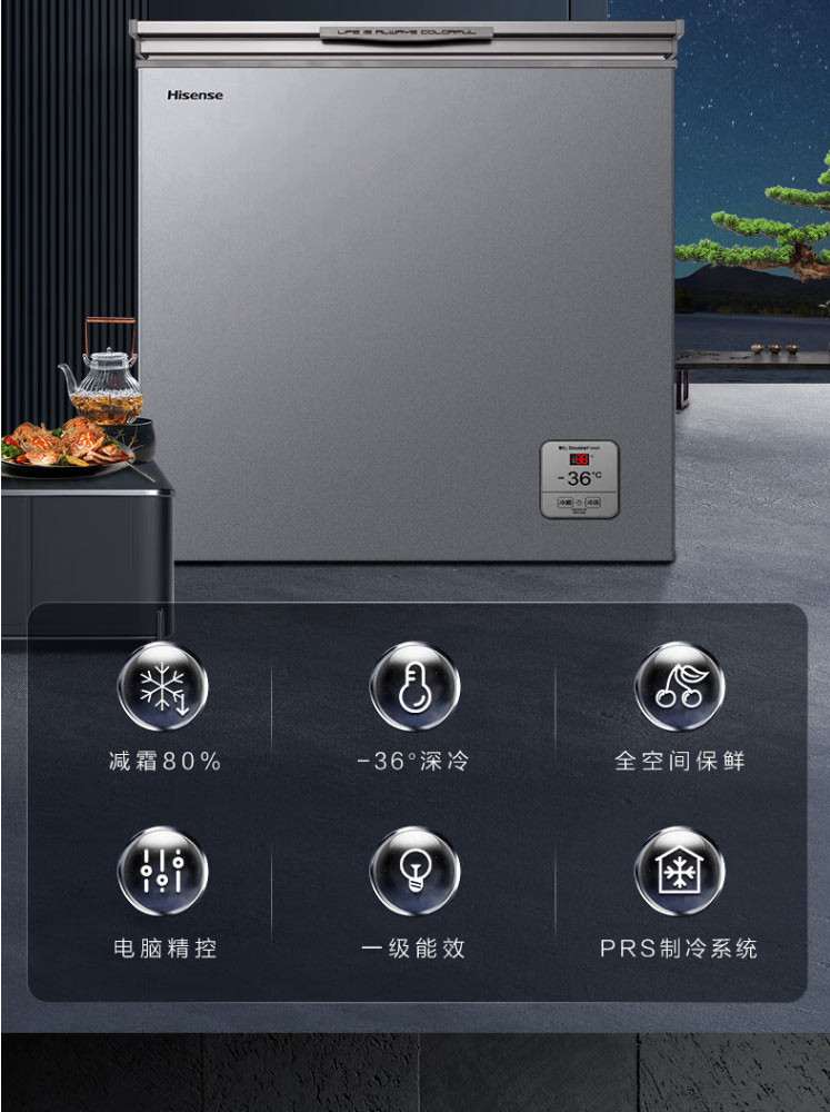 海信/Hisense BD/BC-205ZNUTB 205L冷柜家用灰色冰柜一级节能