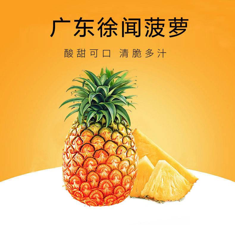 【江门台山馆】广东湛江徐闻特产愚公楼精品菠萝5斤包邮