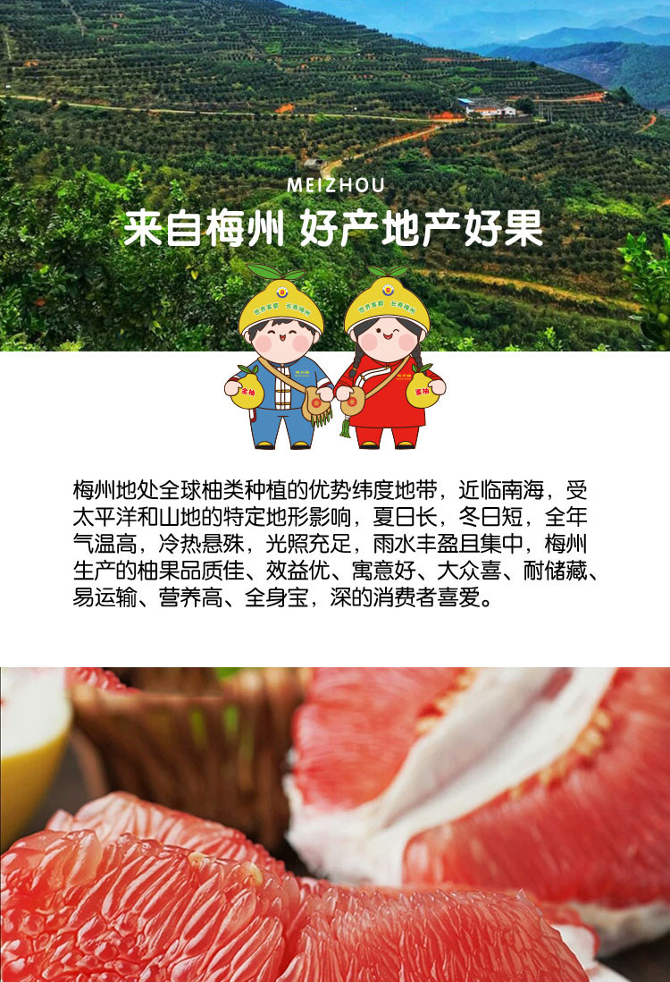 柚好邮来 “柚声柚色”梅县红肉蜜柚,2个装/箱--4个装/箱