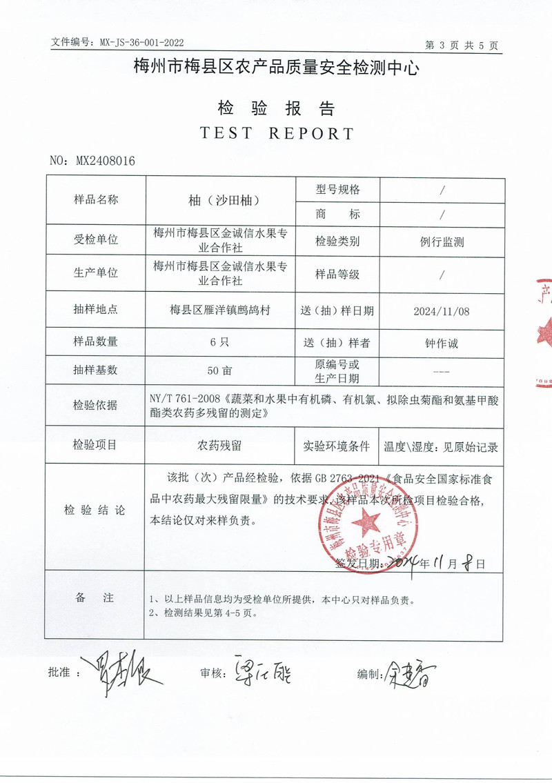 柚好邮来 正宗梅县金柚沙田柚精品果 广东省内包邮