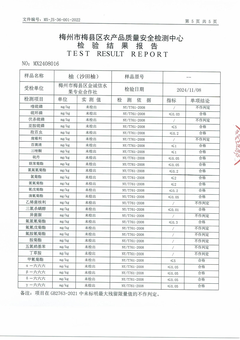 柚好邮来 正宗梅县金柚沙田柚精品果 广东省内包邮