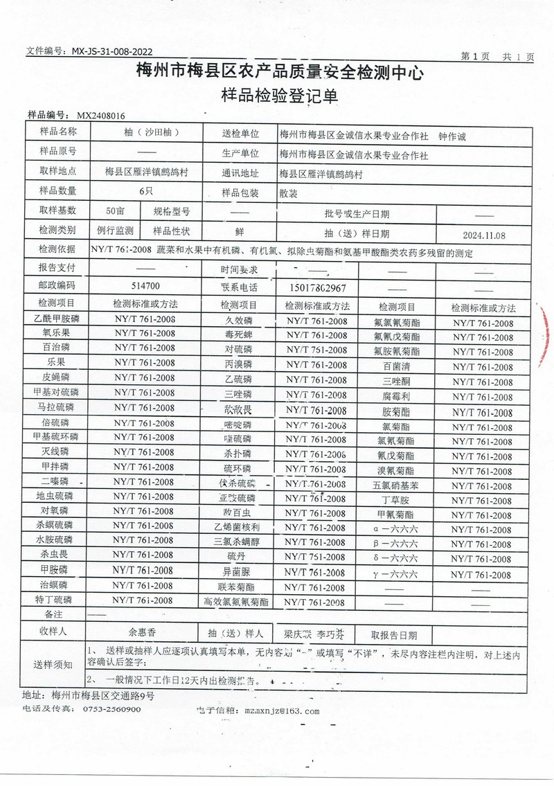 柚好邮来 正宗梅县金柚沙田柚精品果 广东省内包邮