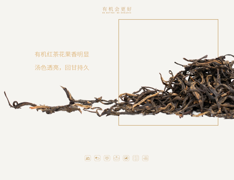 【清远振兴馆】T三有机茶 金狮献瑞 高端英德英红九号红茶  新年茶叶礼盒装一级100g