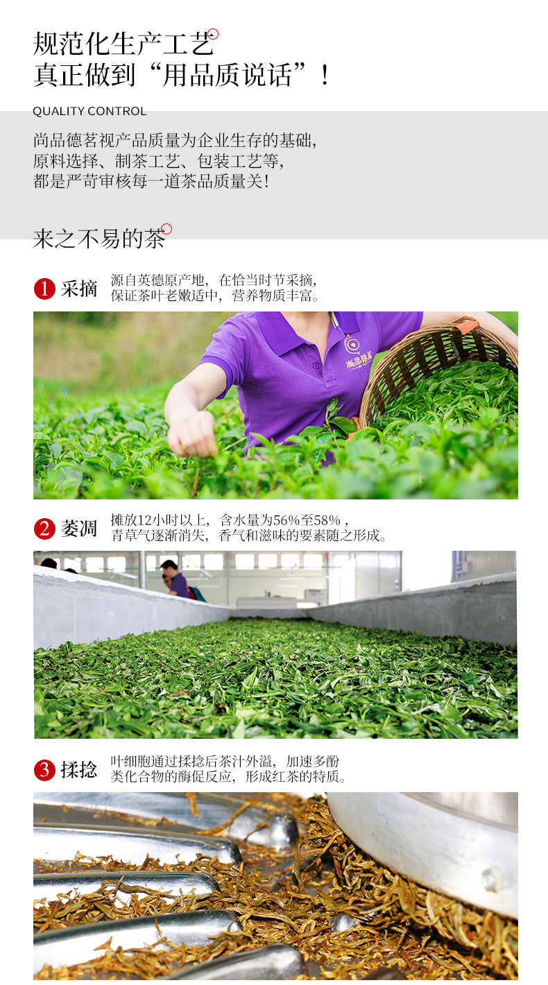 【清远振兴馆】（茗系）100g罐装 英德红茶 广东清远特产茶叶 正品醇香 SPDM